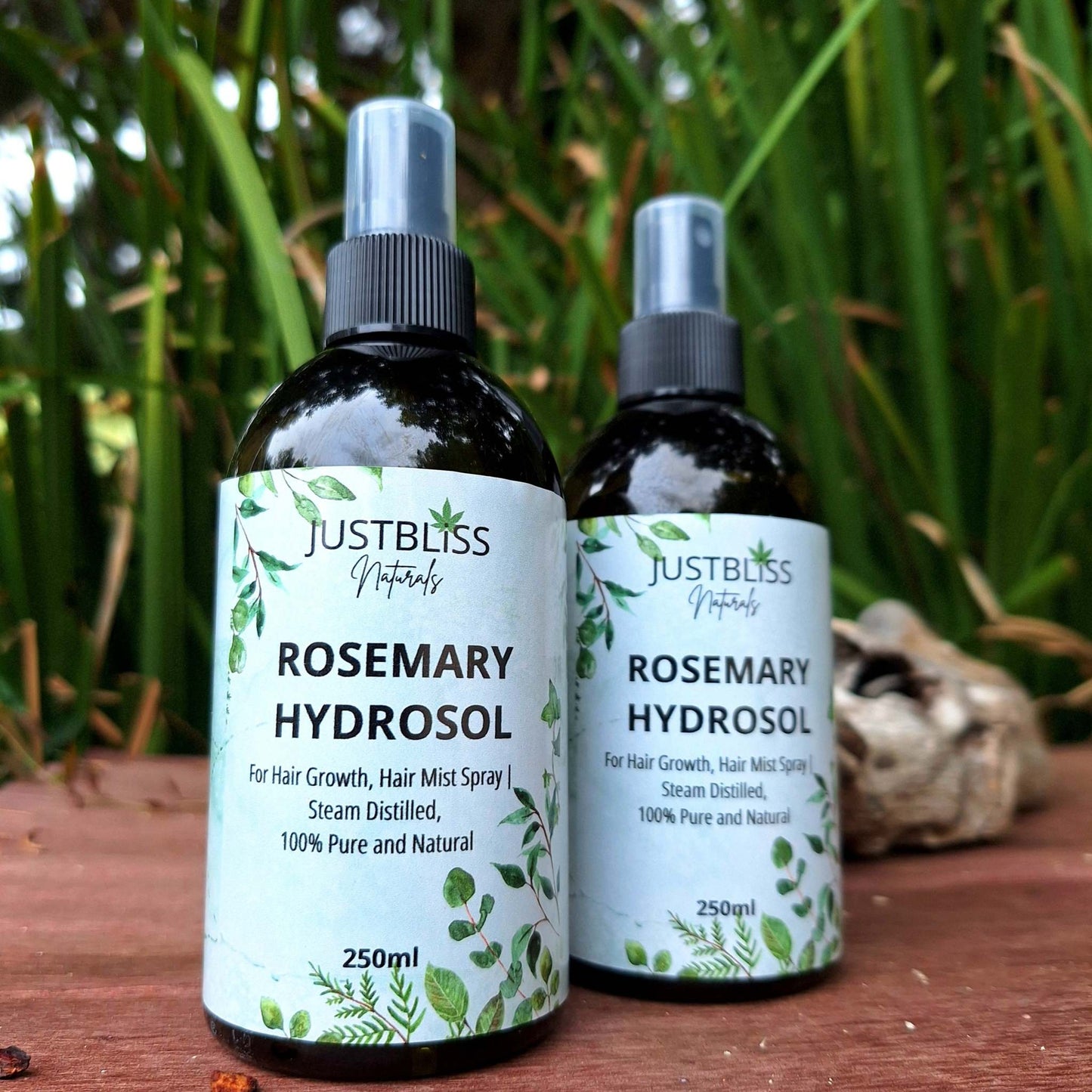 HAIR CARE: Rosemary Hydrosol For hair growth