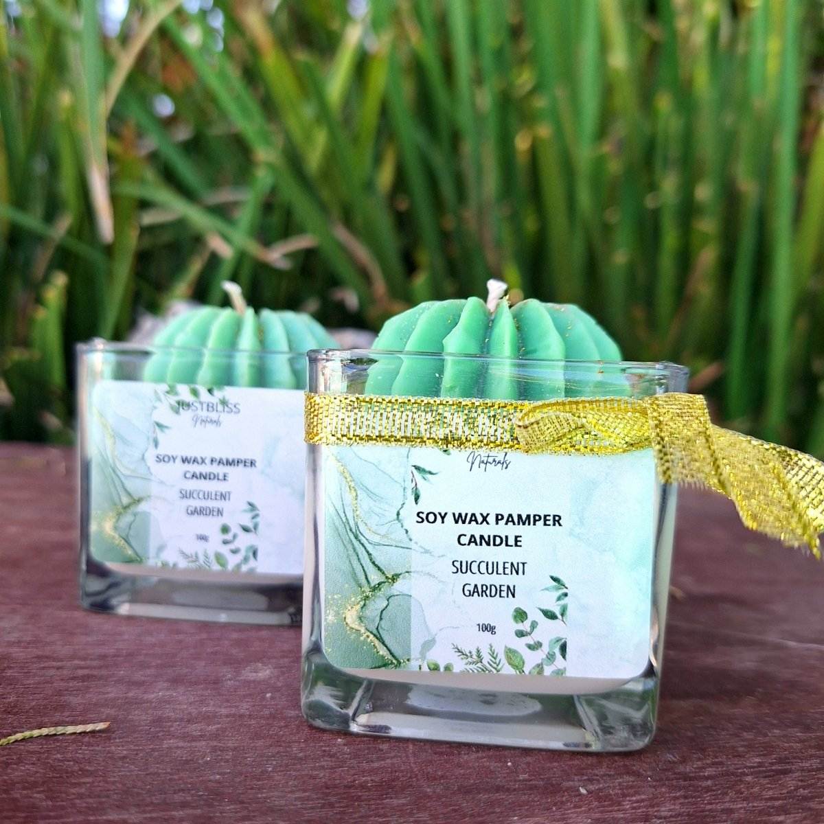 CACTUS FLOWER CANDLE: Succulent Garden (75g) - JUSTBLiSS Naturals