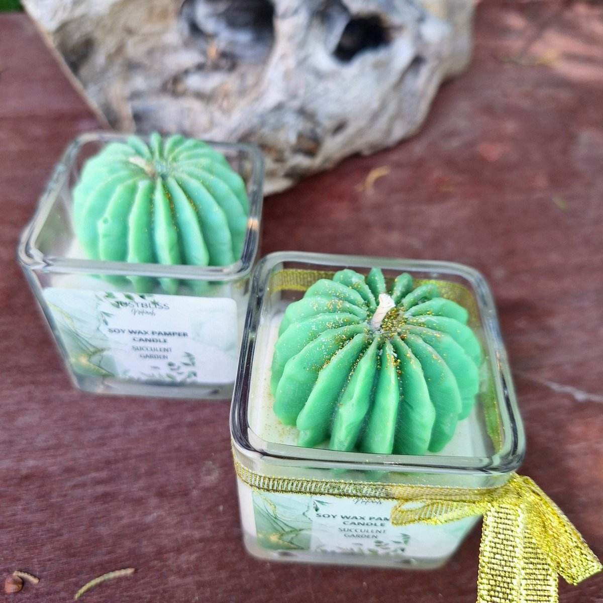 CACTUS FLOWER CANDLE: Succulent Garden (75g) - JUSTBLiSS Naturals