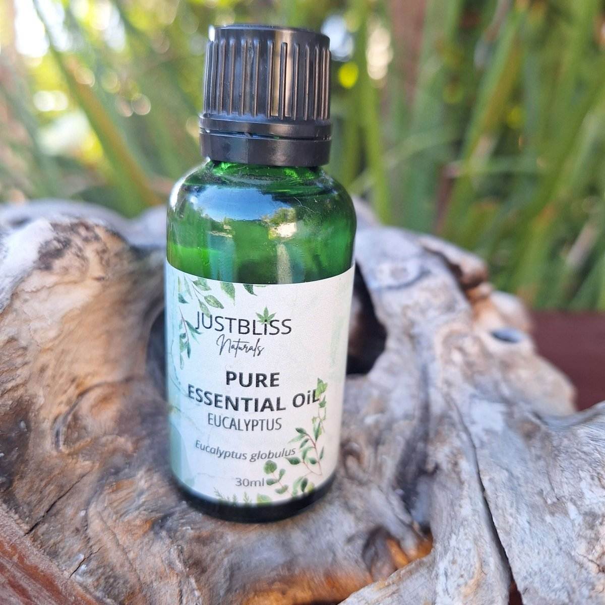 ESSENTIAL OIL: Eucalyptus Globulus (Organic) - JUSTBLiSS Naturals