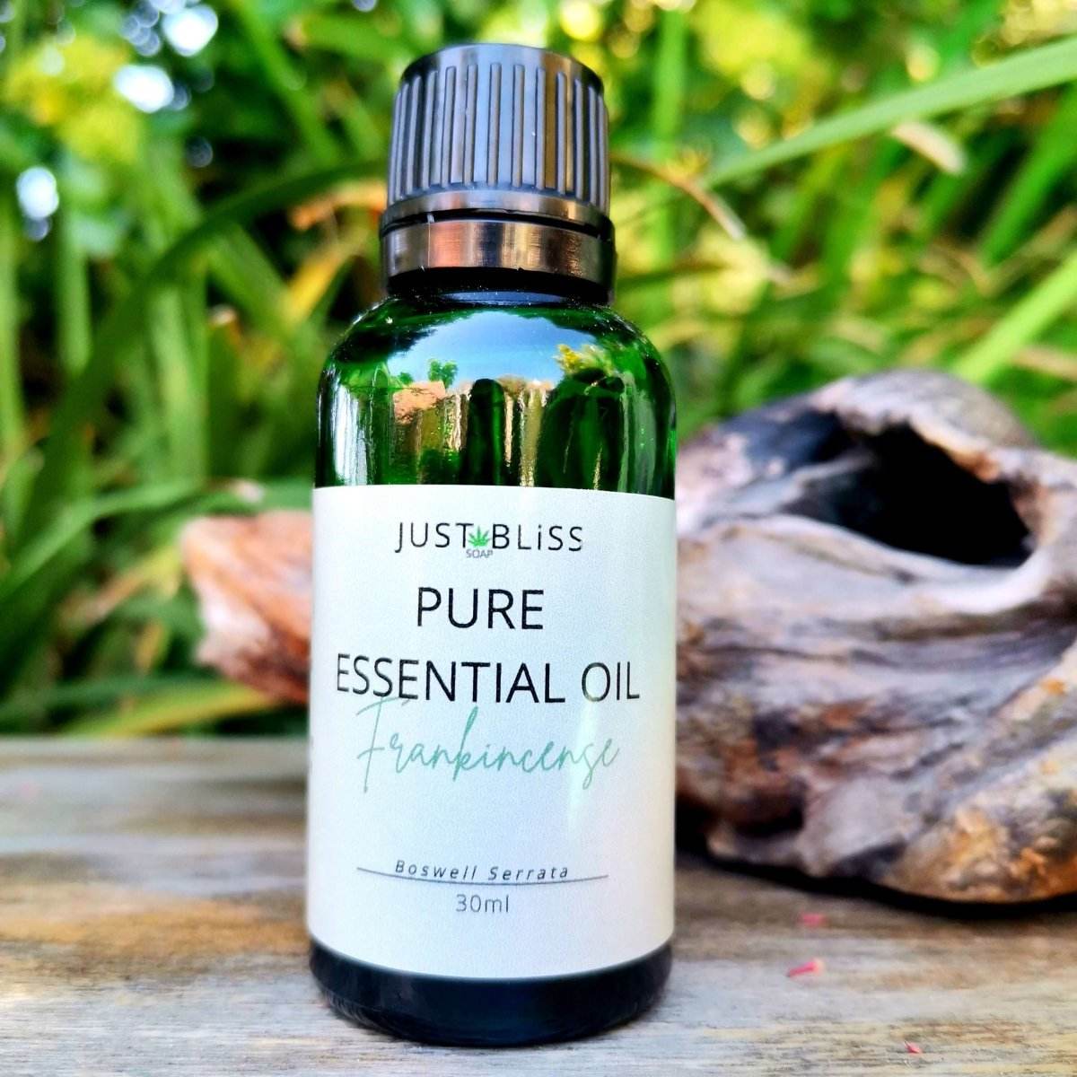 Frankincense essential oil bottle in nature setting, 30ml, Boswell Serrata.