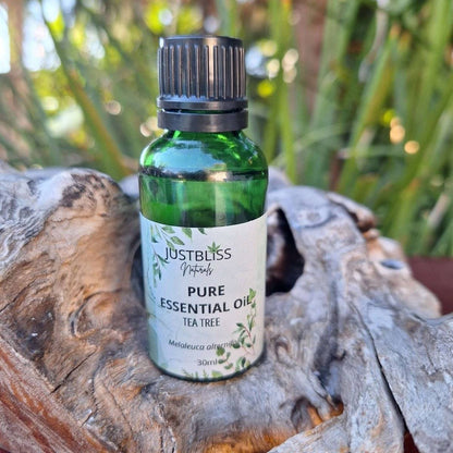 ESSENTIAL OIL: Tea Tree (Organic) - JUSTBLiSS Naturals