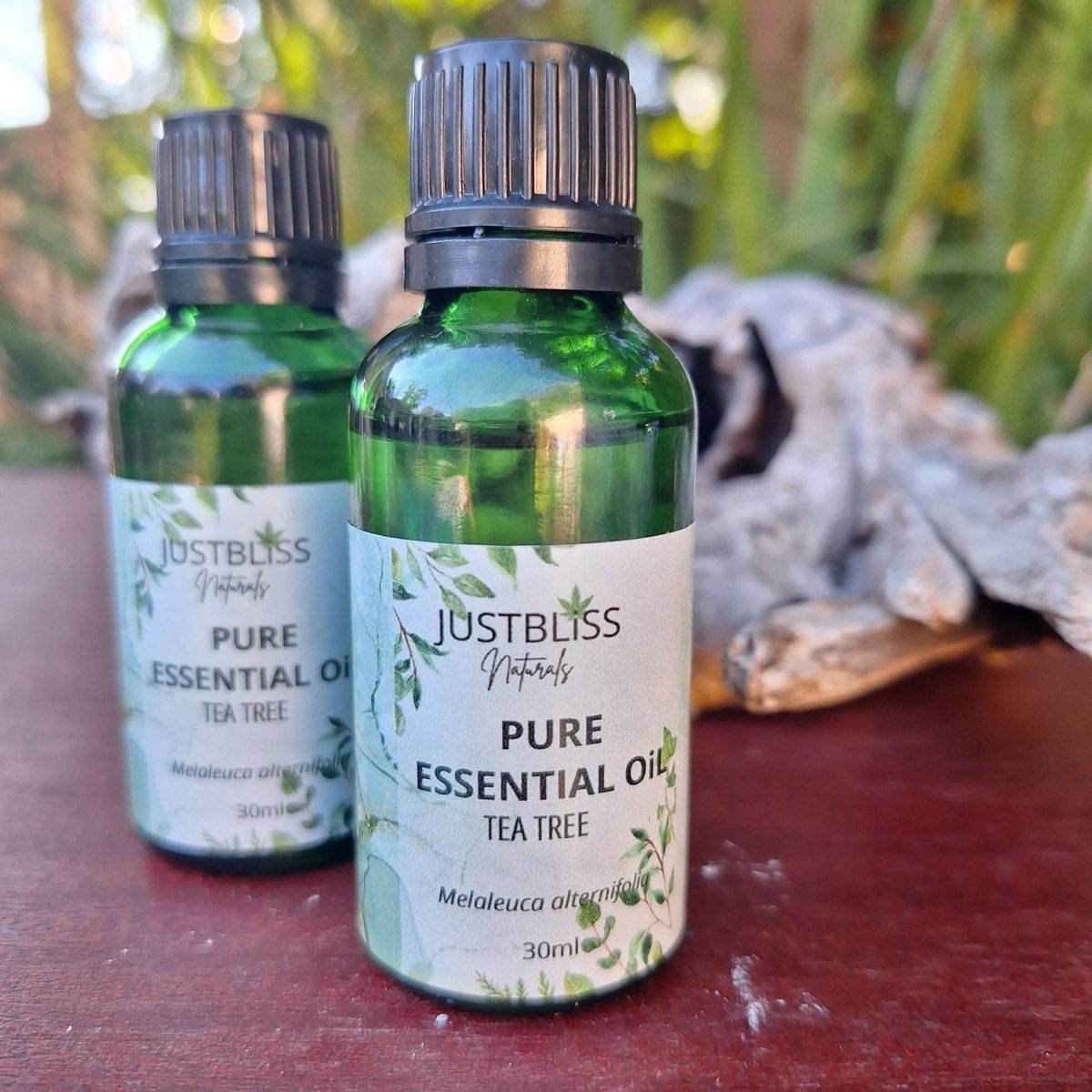 ESSENTIAL OIL: Tea Tree (Organic) - JUSTBLiSS Naturals