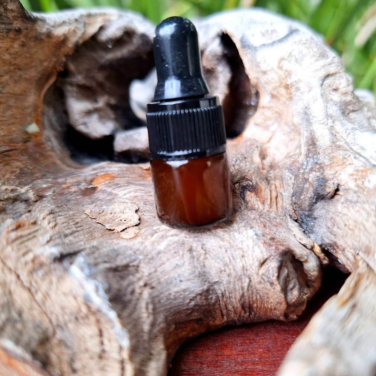 Prickly Pear Seed Oil tester bottle on rustic wood background, showcasing luxury facial oil.