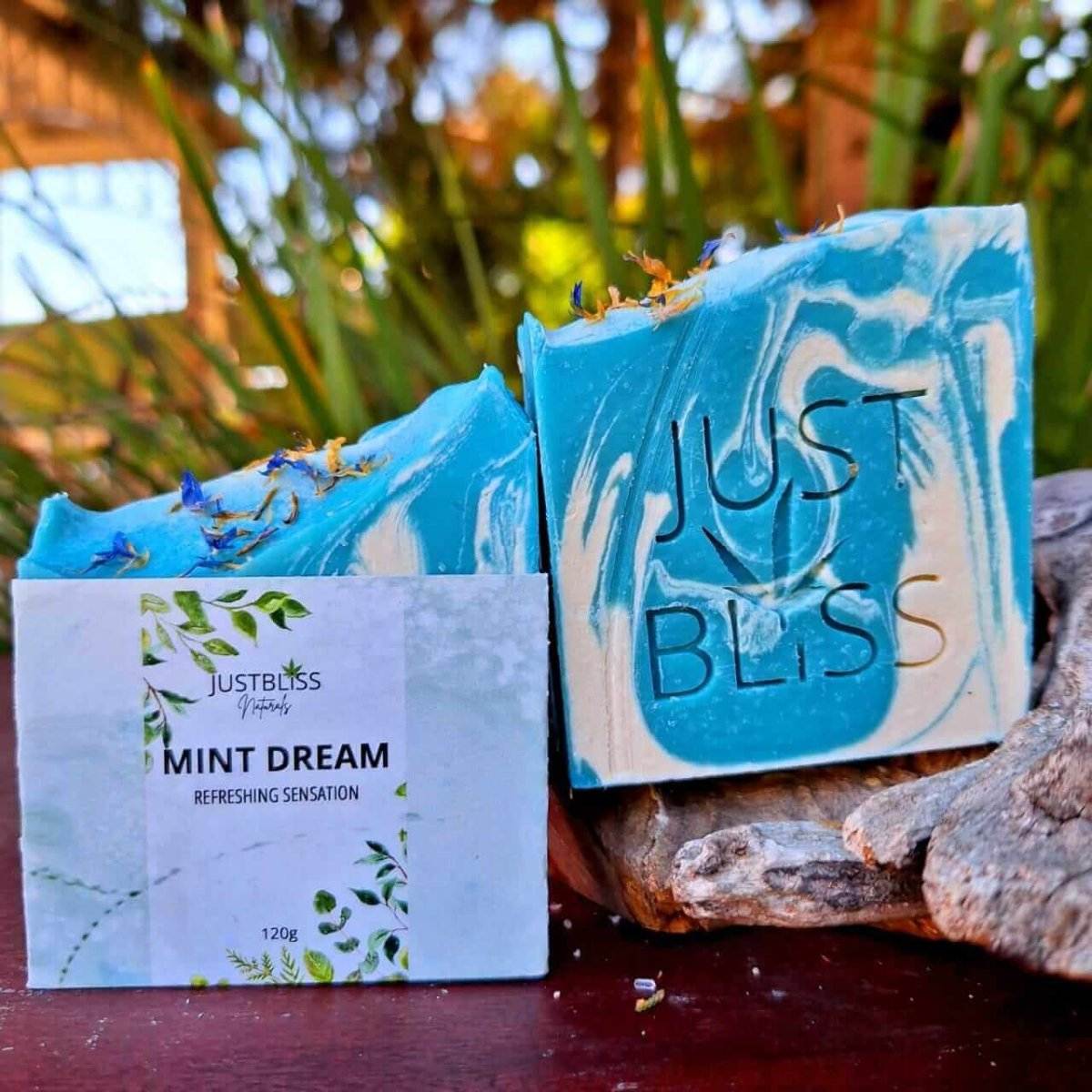 SOAP BAR: Mint Dream - JUSTBLiSS Naturals