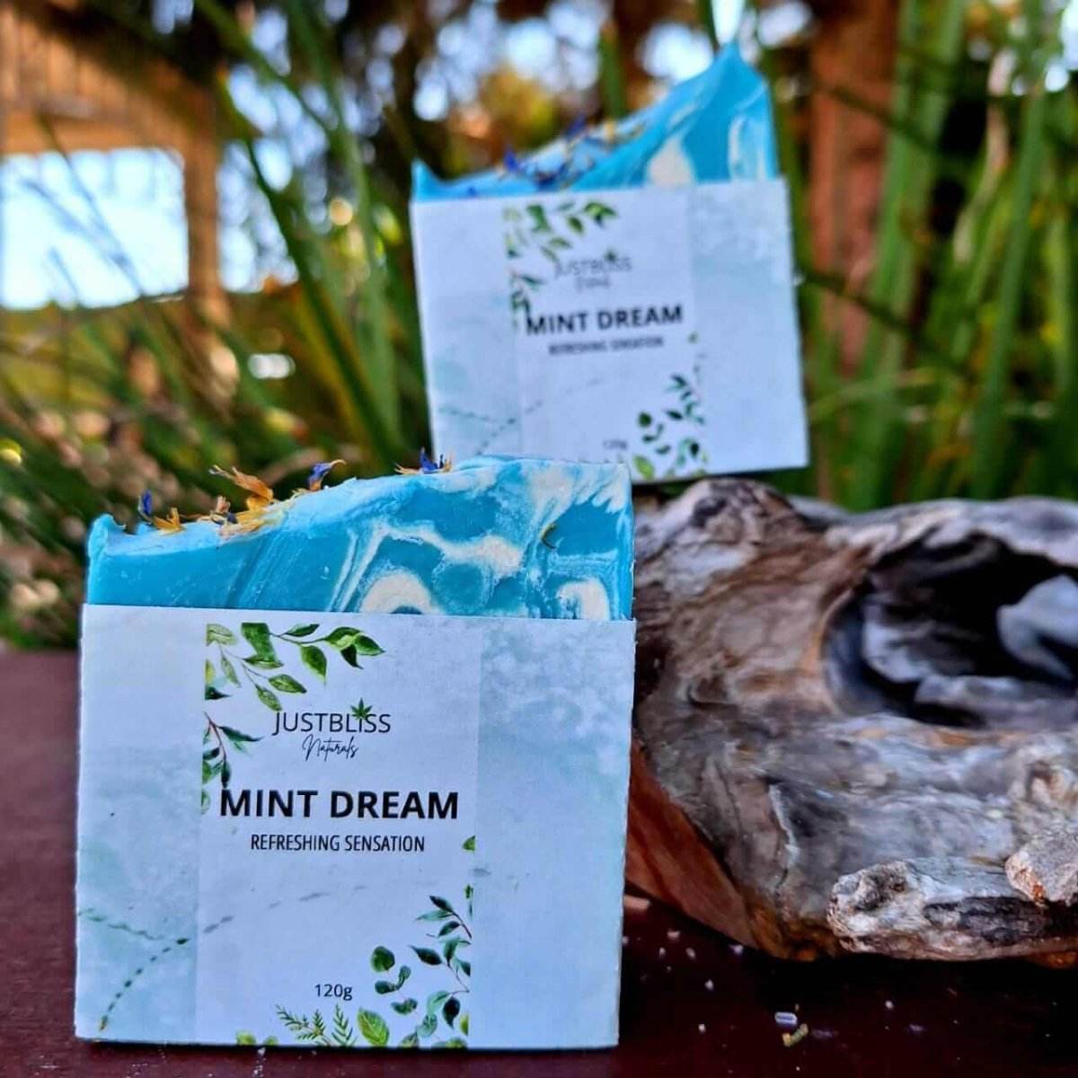 SOAP BAR: Mint Dream - JUSTBLiSS Naturals