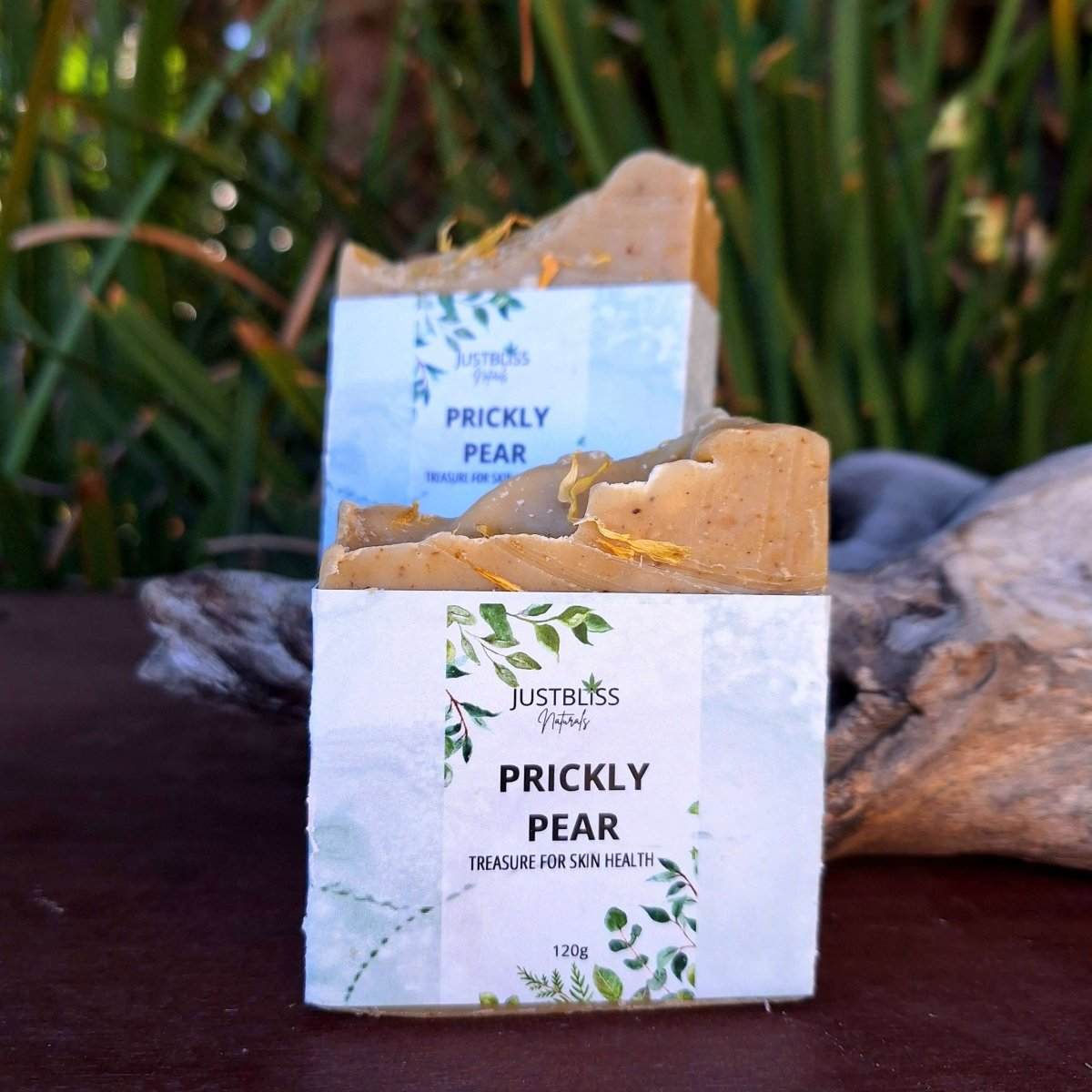 SOAP BAR: Prickly Pear - JUSTBLiSS Naturals