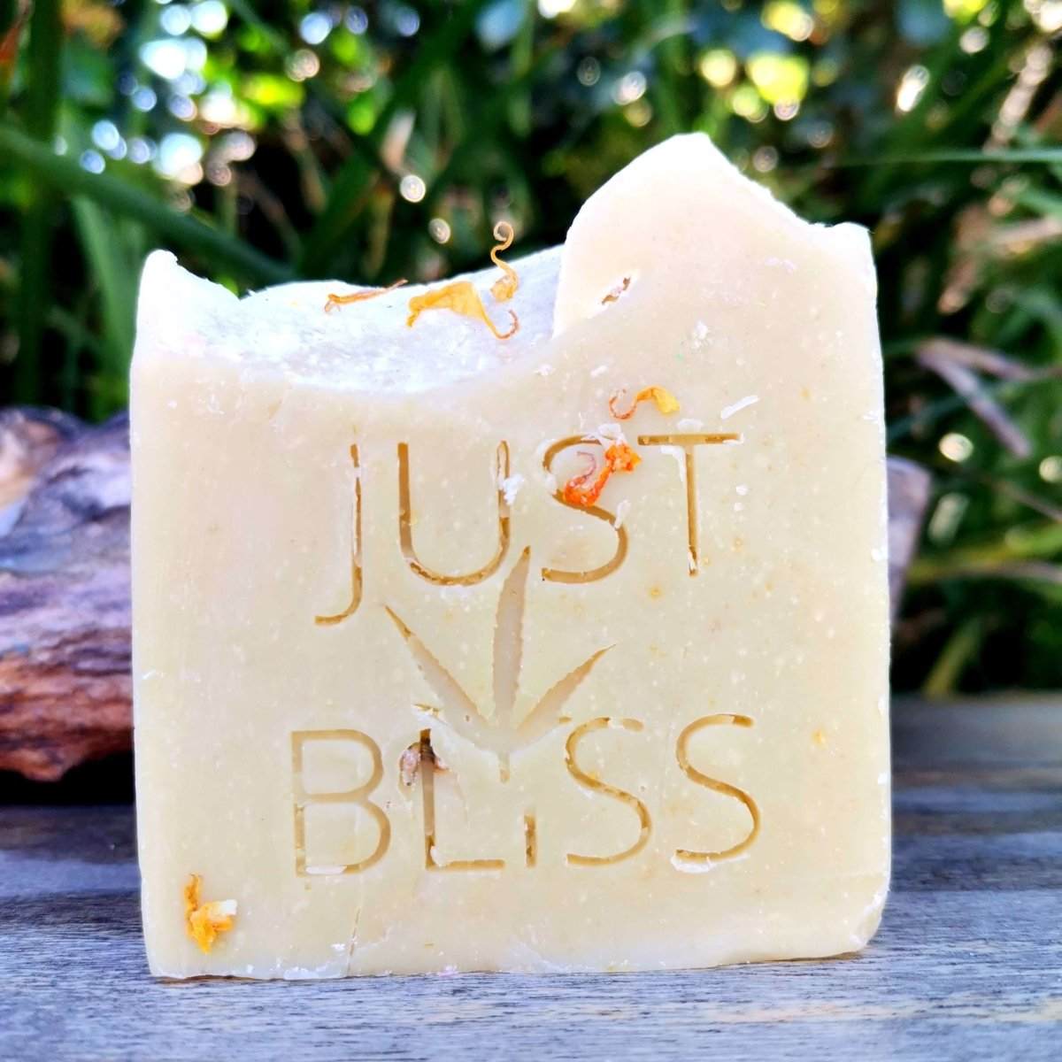 SOAP BAR: Prickly Pear - JUSTBLiSS Naturals