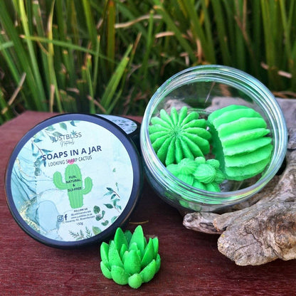 SOAPs IN A JAR: Looking Sharp Cactus (Glycerine) - JUSTBLiSS Naturals